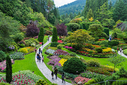 Rock Garden