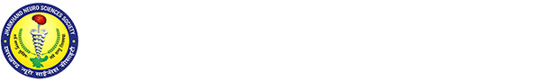 JNS Logo